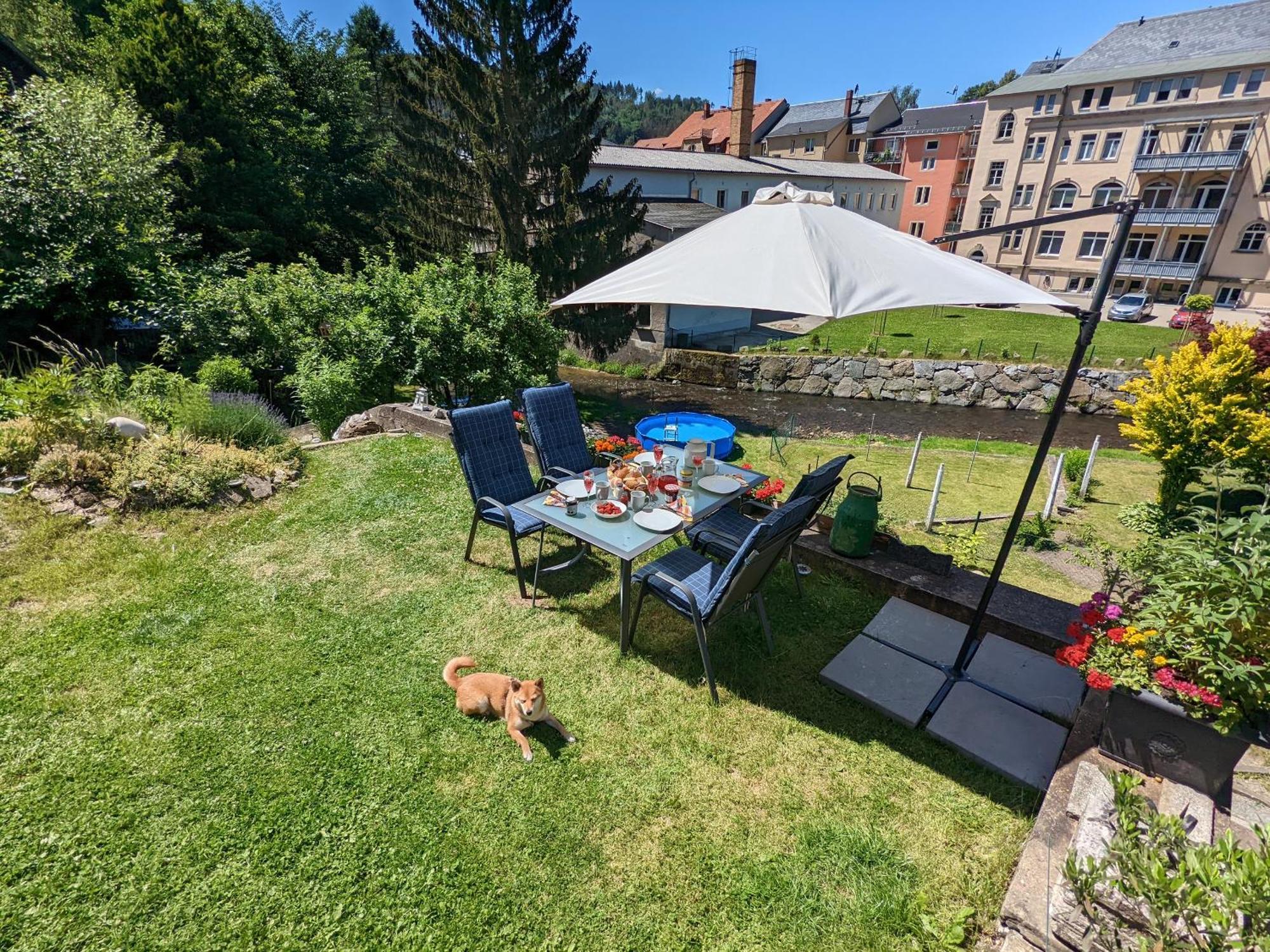 F3 Urlaubsmagie - Pool, Garten & Terrasse - 4P Sebnitz Kültér fotó