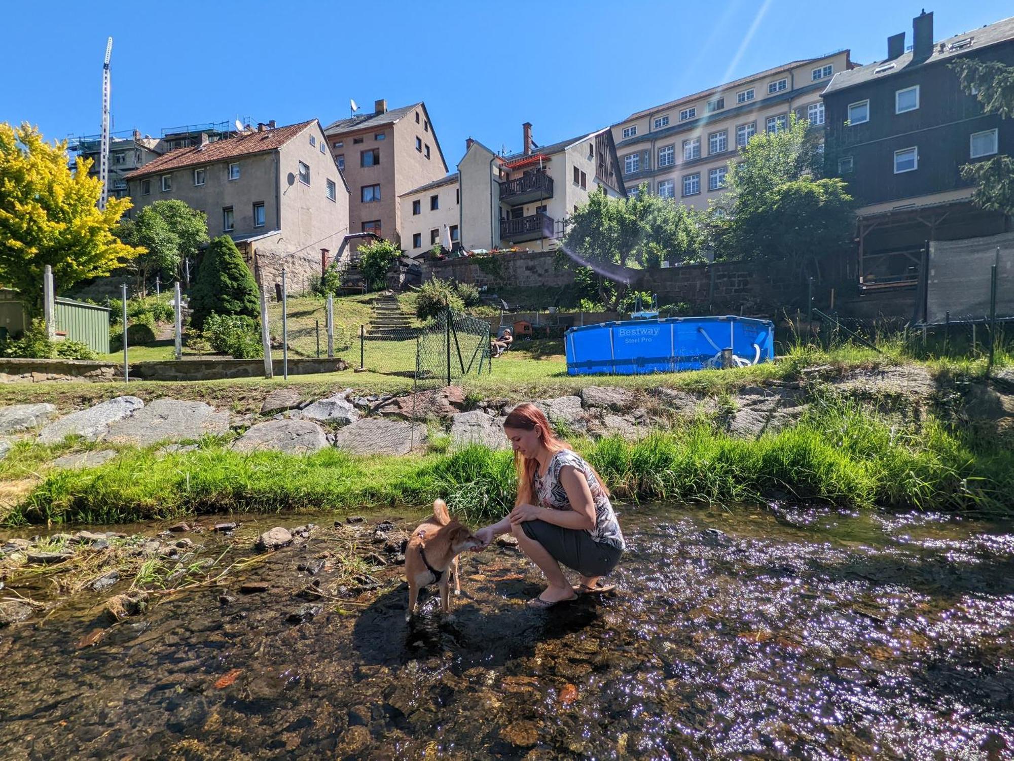 F3 Urlaubsmagie - Pool, Garten & Terrasse - 4P Sebnitz Kültér fotó