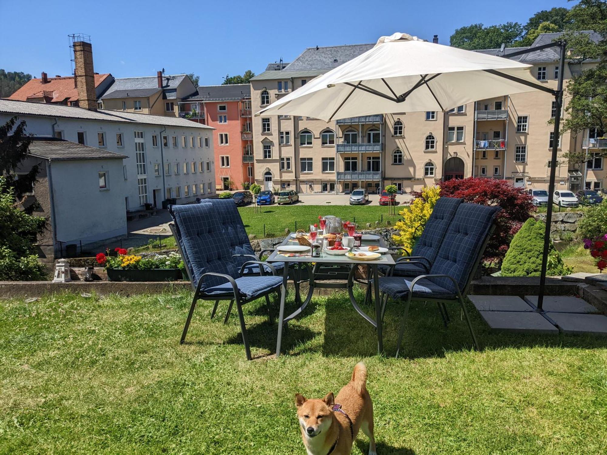 F3 Urlaubsmagie - Pool, Garten & Terrasse - 4P Sebnitz Kültér fotó