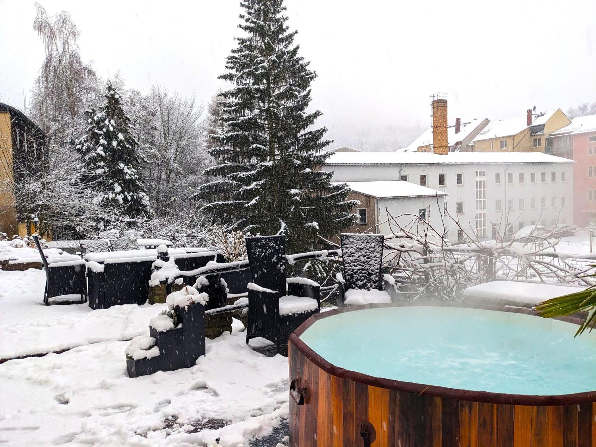 F3 Urlaubsmagie - Pool, Garten & Terrasse - 4P Sebnitz Kültér fotó