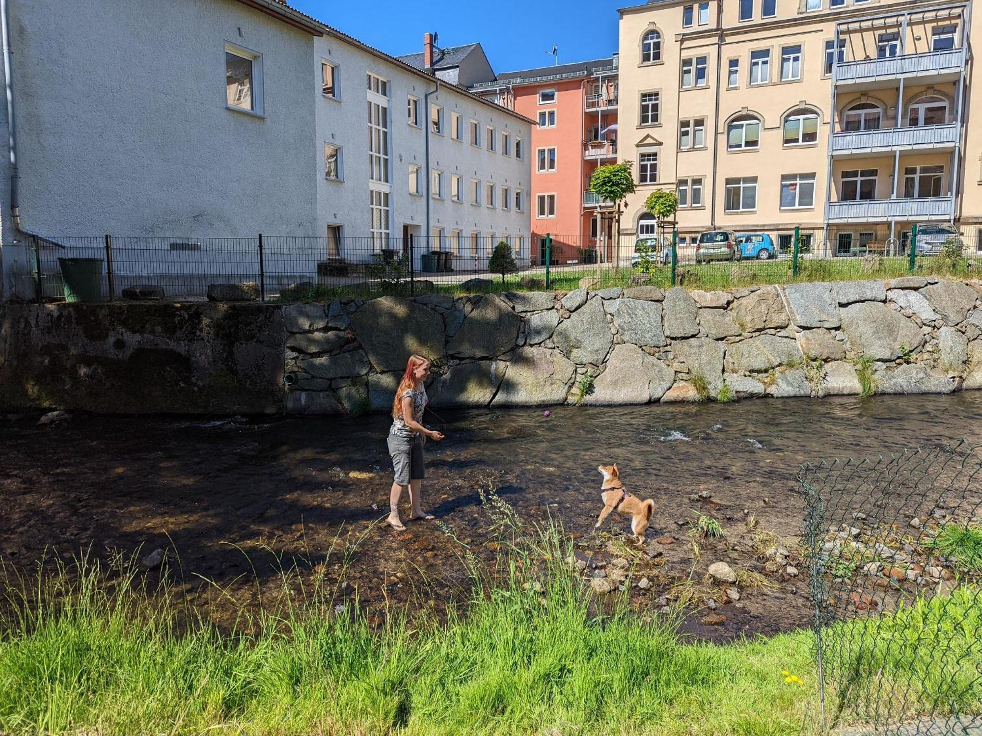 F3 Urlaubsmagie - Pool, Garten & Terrasse - 4P Sebnitz Kültér fotó